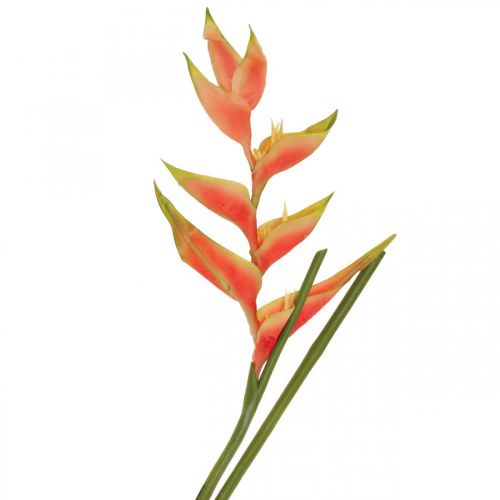 Heliconia művirág egzotikus rózsaszín, zöld H103cm