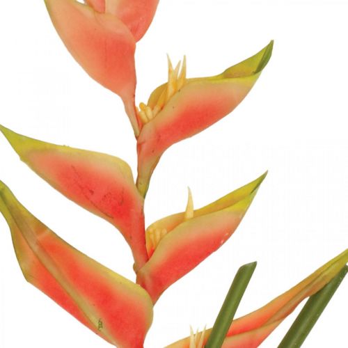 Floristik24 Heliconia művirág egzotikus rózsaszín, zöld H103cm