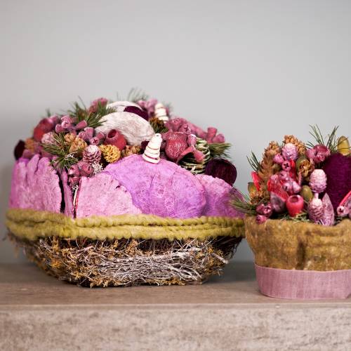 Floristik24 Párna moha, szőlő 25cm x 25cm