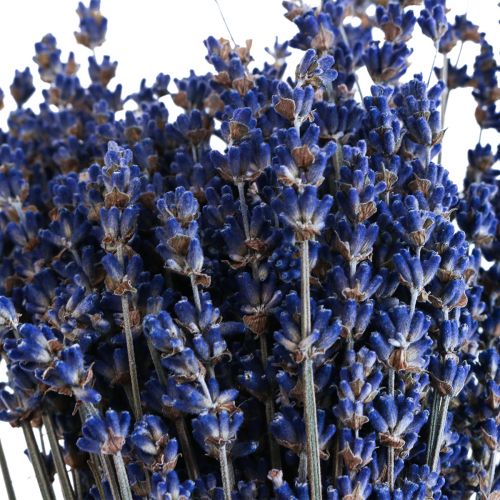 Szárított levendula csokor szárított virág kék 25cm 75g