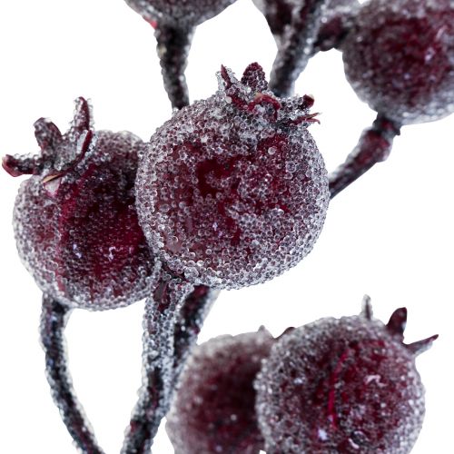 Floristik24 Csipkebogyó ág bogyó ág dér műnövény piros 25cm 12db