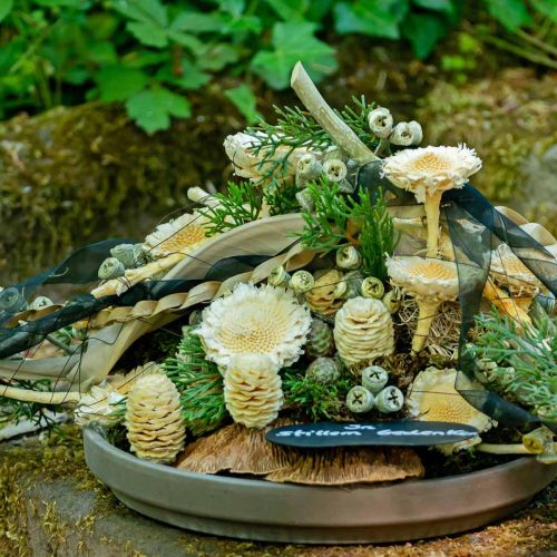 tételeket Susanne rozetta fehérített 25 db