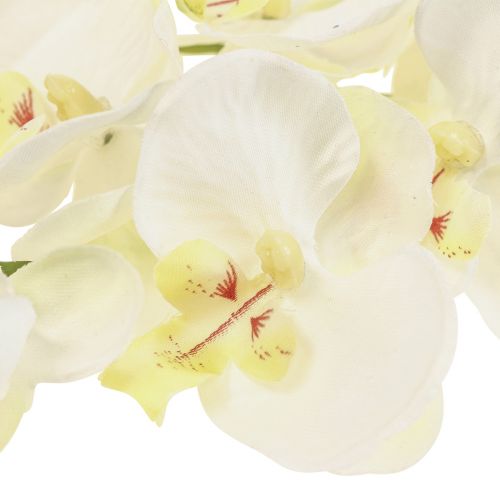 Floristik24 Phalaenopsis Mesterséges Orchideák Művirágok Fehér 70cm
