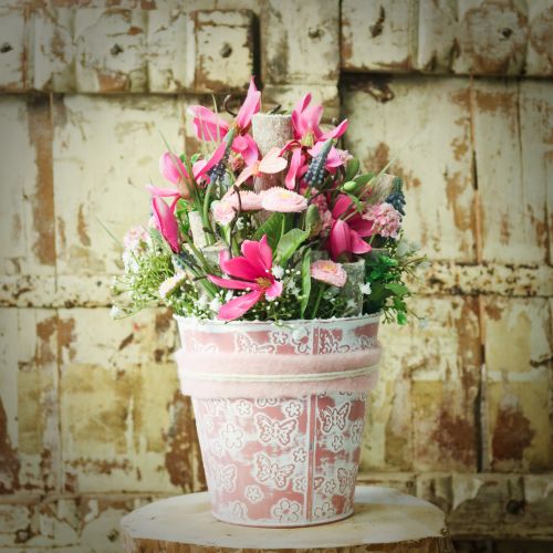 Floristik24 Kézműves kéreg Fehér mosott 13cm 1kg