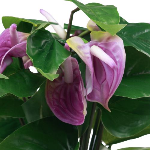 Floristik24 Művirágok Anthurium műnövények cserépben 41cm