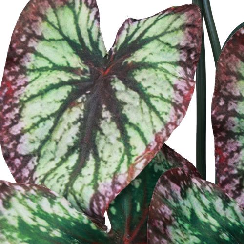 tételeket Begónia Mesterséges Növények Levele Begónia Zöld Lila 62cm
