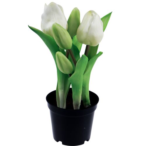 tételeket Műtulipán cserépben Fehér tulipán művirág 22cm