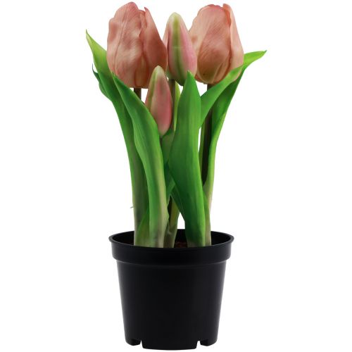 tételeket Mesterséges tulipán cserépben Tulipán Barack művirág 22cm