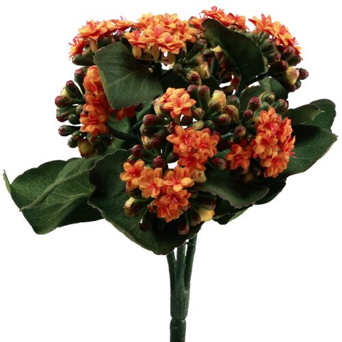 Lángoló Käthchen Kalanchoe műnarancs 24cm
