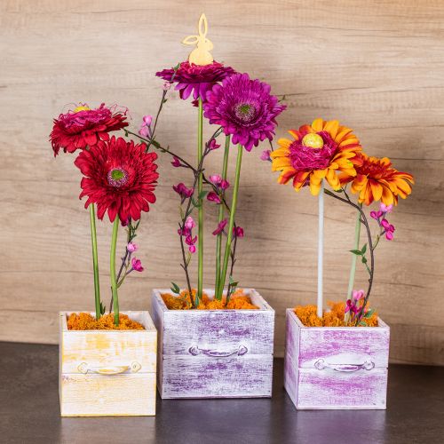 tételeket Növényi fiók fogantyúval narancssárga fehér fa 12/15cm-es 2 db-os készlet