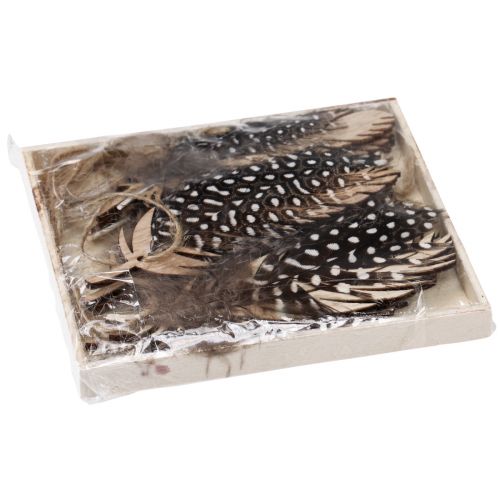 tételeket Dekoratív toll medál fa natúr toll 9,5/10cm 9 db