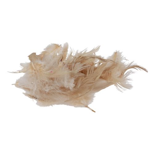 Dísztoll kicsi igazi madártoll narancssárga 5-10cm 10g