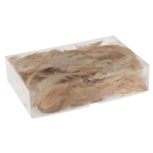 Floristik24 Dísztoll kicsi igazi madártoll narancssárga 5-10cm 10g