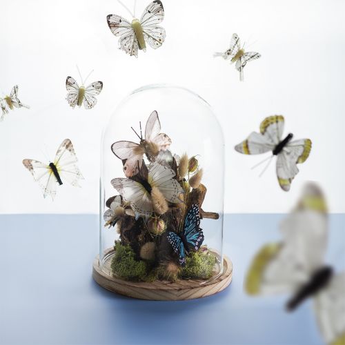 Üvegharang fa tálcán, üvegedény, átlátszó, natúr, Ø17cm, H24cm