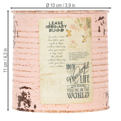 tételeket Virágcserép díszdoboz lazac fém nyári dekoráció Ø11cm M10.5cm