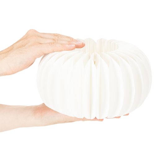 Méhsejt papír gyűrű tök kerek nagy szárított virágokhoz és őszi dekorációhoz 24cm 4db | Floristik24.hu