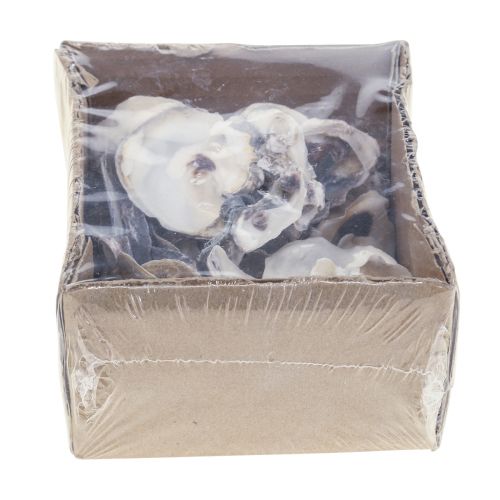 Floristik24 Osztriga kagyló deco kagyló dekoráció natúr 2-6cm 250g