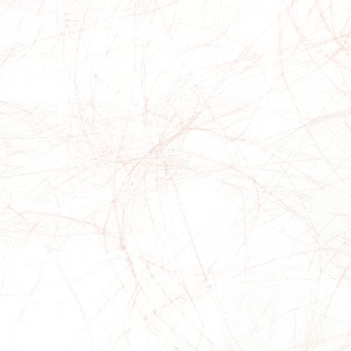 tételeket Deco polár Sizoweb asztali futórózsa 30cm 5m