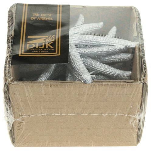 Floristik24 Starfish Silver Maritime Dekoráció Starfish Summer Dekoráció 7,5cm 10 db