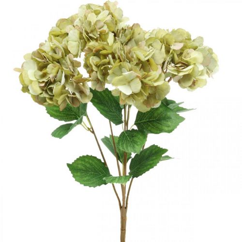 Hortenzia csokor műzöld, barna 5 virág 48cm