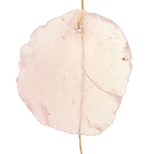 Floristik24 Kagylófüzér gyöngyház füzér Capiz rózsaszín L108cm