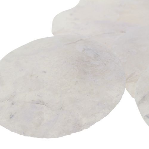 Floristik24 Capiz kagylók gyöngyház korongok tengeri dekoráció Ø7cm 600g