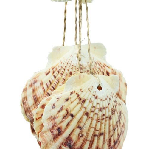 tételeket Tengeri függő dekorációs kagylók Tengeri szélcsengő 74cm