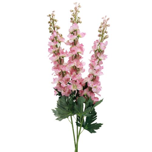 Floristik24 Delphinium delphinium műrózsaszín 82cm 3db