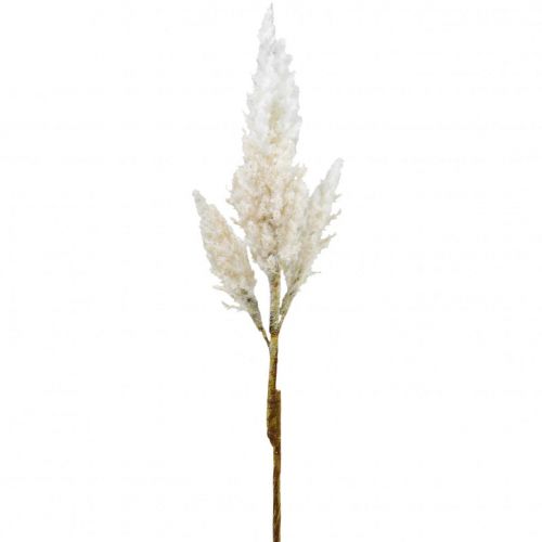 Floristik24 Pampa fű fehér krémszínű műszáraz fű dekoráció 82cm