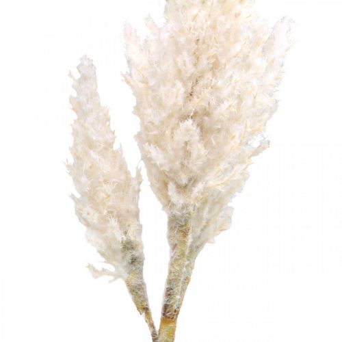 tételeket Pampa fű fehér krémszínű műszáraz fű dekoráció 82cm