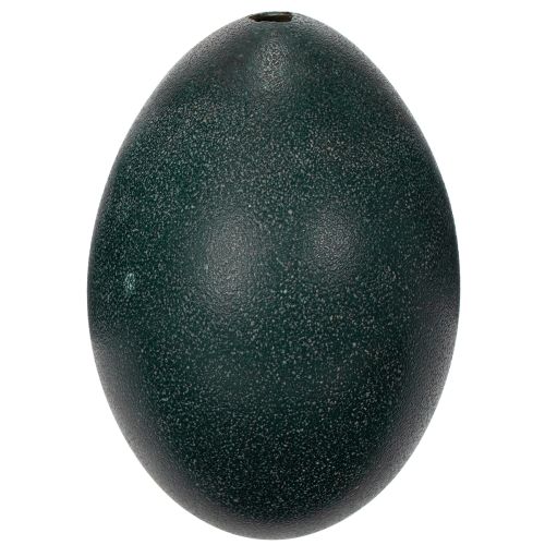 tételeket Emuei dekorációk ünnepi lakberendezéshez és stílusos húsvéti kiegészítők