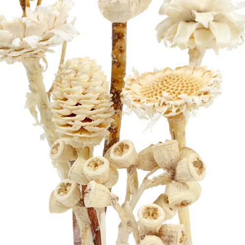 tételeket Afrika szortiment fehérített 60 db