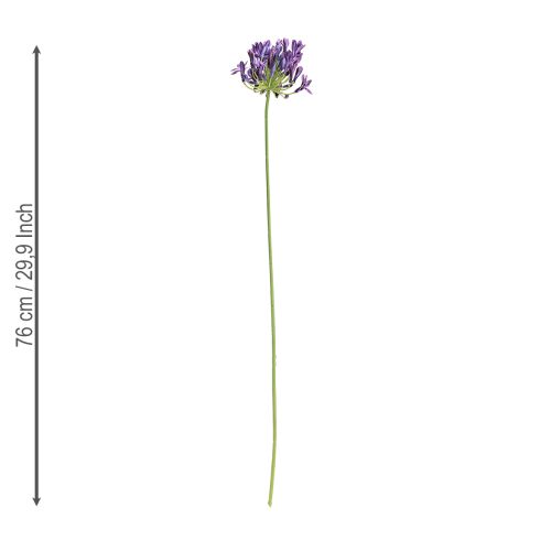 tételeket Agapanthus művirág lila dekoráció liliomok 75cm 2db