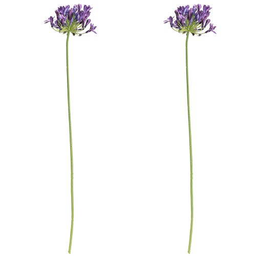 tételeket Agapanthus művirág lila dekoráció liliomok 75cm 2db