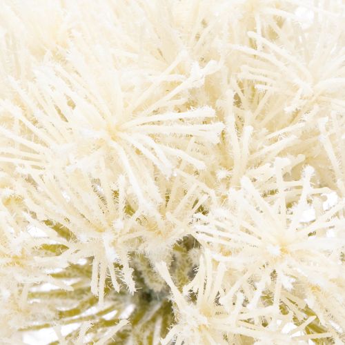 tételeket Allium művirág, finom design beltéri használatra, 68cm