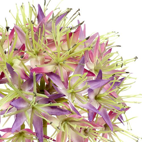 Floristik24 Allium világoslila L76cm