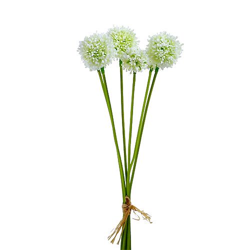 Floristik24 Allium 35cm fehér 6db