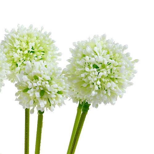 tételeket Allium 35cm fehér 6db