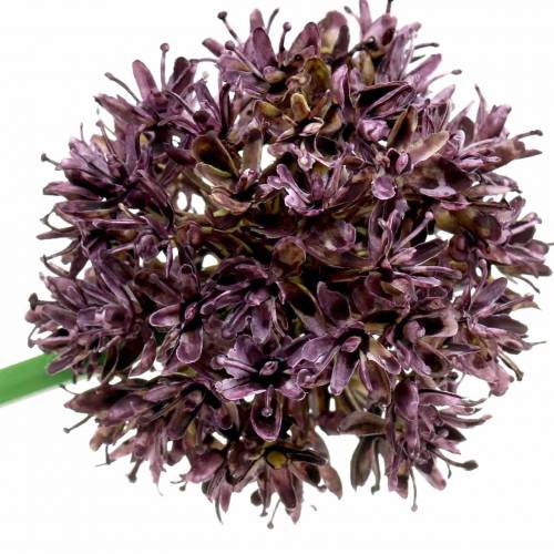Floristik24 Díszhagyma Allium műlila Ø7cm H58cm 4db