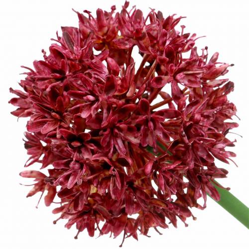 Floristik24 Díszhagyma Allium műmályva Ø7cm H58cm 4db