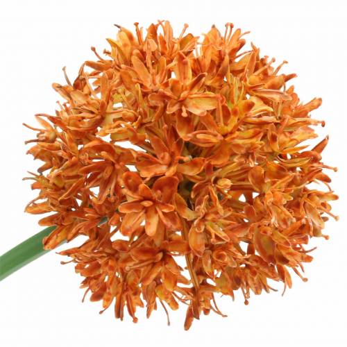 Floristik24 Díszhagyma Allium műnarancs Ø7cm H58cm 4db