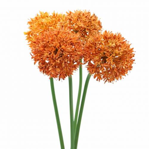 Floristik24 Díszhagyma Allium műnarancs Ø7cm H58cm 4db