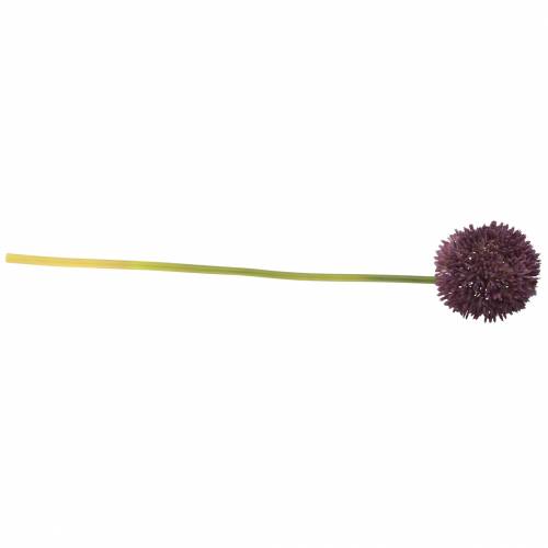 Floristik24 Díszítő allium műlila Ø12cm 65cm