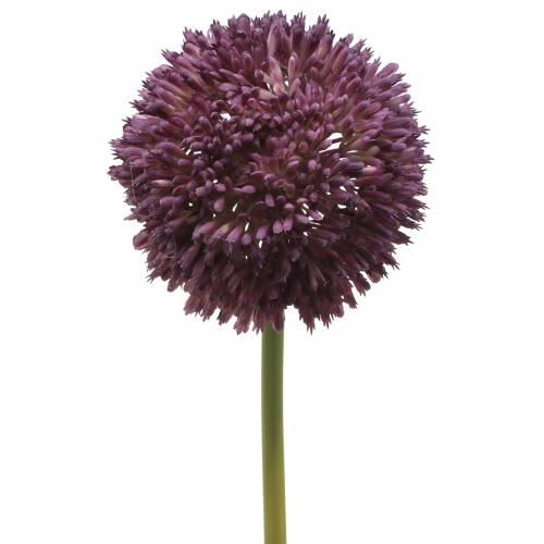 Díszítő allium műlila Ø12cm 65cm
