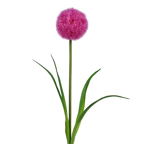 Floristik24 Allium 68cm rózsaszín-lila