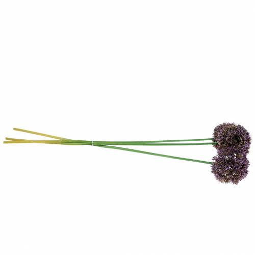 Floristik24 Díszhagyma Allium műlila 70cm 3db