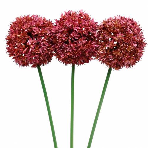 Floristik24 Díszhagyma Allium műmályva Ø9cm H70cm 3db