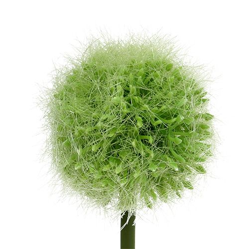 tételeket Allium zöld L37,5cm 4db