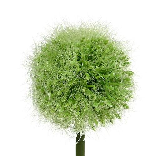 Floristik24 Allium zöld L37,5cm 4db