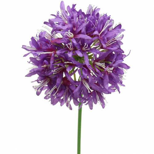 Díszítő allium műlila Ø12cm H62cm